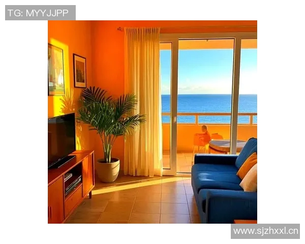 赵丽独家分享排球心得与技巧助你提升球技的全面指南 赵丽独家分享排球心得与技巧助你提升球技的全面指南