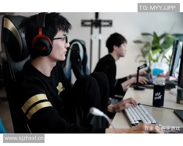 RNG战队技术分析与战术探讨DOTA2中的创新与挑战