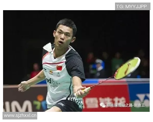 对话杨娜:回顾羽毛球生涯的辉煌与挑战之路 对话杨娜:回顾羽毛球生涯的辉煌与挑战之路