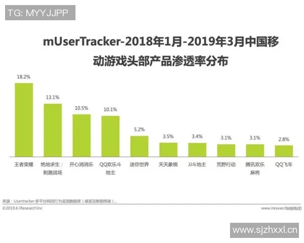 深入分析成都排球队的运营策略与市场推广模式探讨