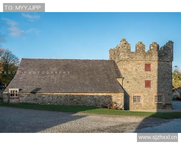 吉布森的传奇人生与艺术成就探秘:从电影到文学的跨界之旅 吉布森的传奇人生与艺术成就探秘:从电影到文学的跨界之旅