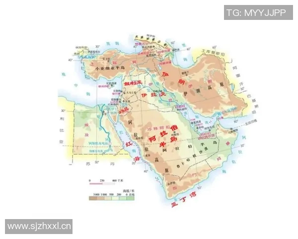 伊拉克与沙特上半场精彩对决分析及战术解读