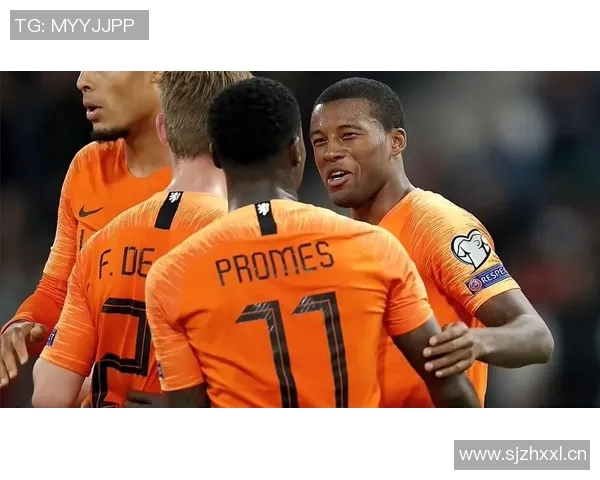 白俄罗斯与荷兰足球最新对战数据分析及预测