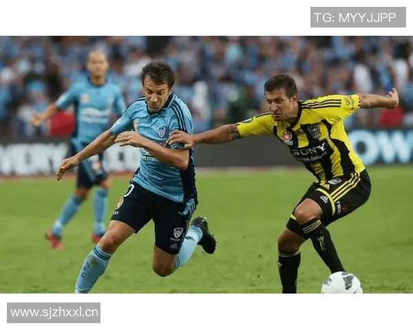 2019年布里斯班对阵惠灵顿的精彩赛事回顾与分析