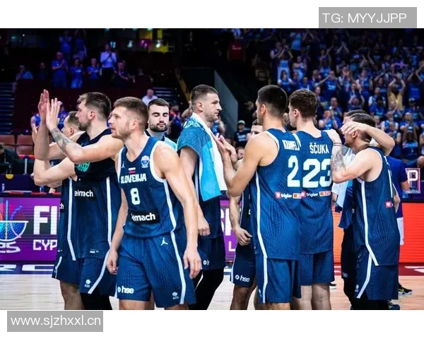 冰岛与斯洛文尼亚的足球对决分析及比赛前瞻