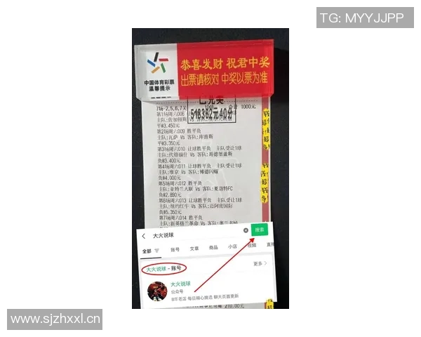 纽卡斯尔对阵利物浦比赛胜负预测分析及双方近期状态评估