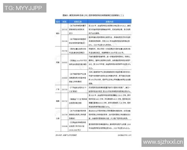 城市赛分析：TES战术布局与执行的深度剖析与反思MBA