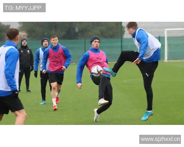 芬兰与冰岛足球赛精彩对决乐视直播全程回放与分析